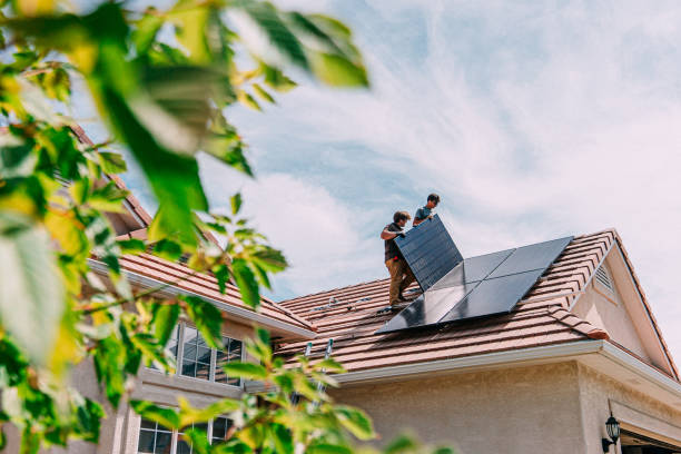 Best Roof Moss and Algae Removal  in Blasdell, NY