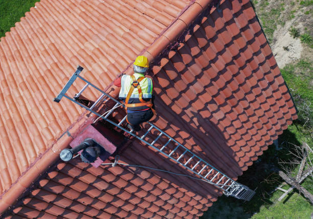 Best Skylight Installation and Repair  in Blasdell, NY