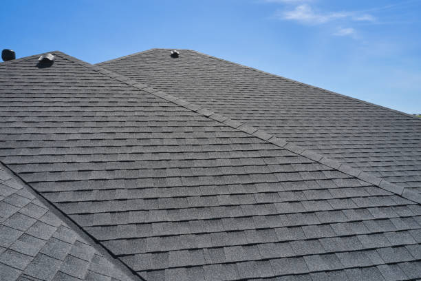Best Roof Coating and Sealing  in Blasdell, NY
