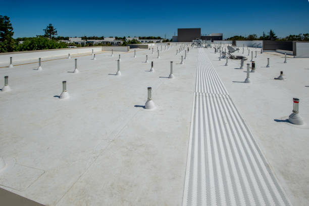 Best Rubber Roofing (EPDM, TPO)  in Blasdell, NY